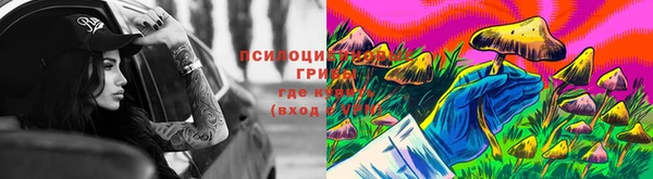 хмурый Медногорск