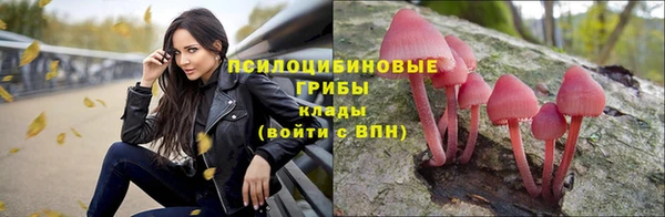 сатива Майский